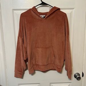 American Eagle Cropped Velour Hoodie